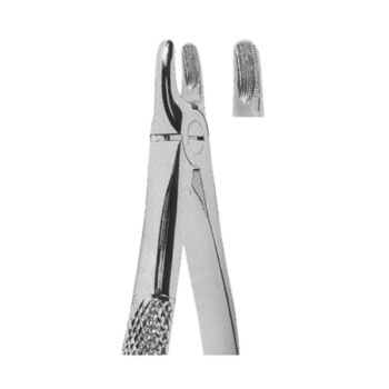 Extracting Forceps English Pattern
