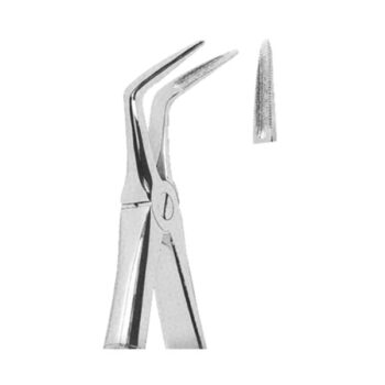 Extracting Forceps English Pattern