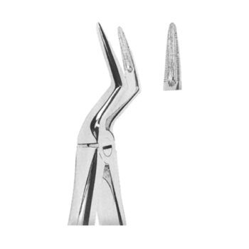 Extracting Forceps English Pattern