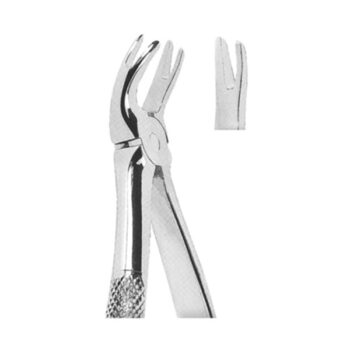Extracting Forceps English Pattern
