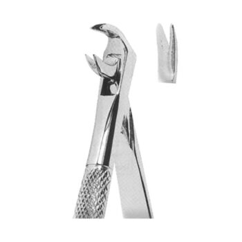 Extracting Forceps English Pattern