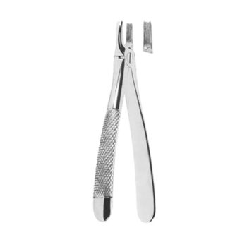 Extracting Forceps English Pattern