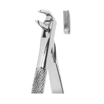Extracting Forceps English Pattern