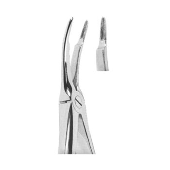 Extracting Forceps English Pattern