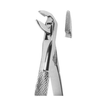 Extracting Forceps English Pattern
