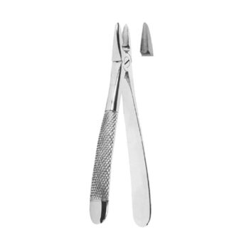 Extracting Forceps English Pattern