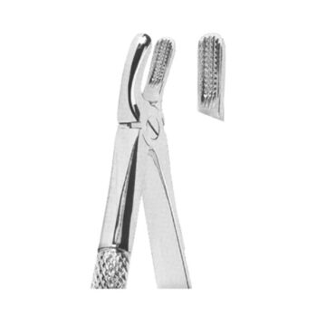 Extracting Forceps English Pattern