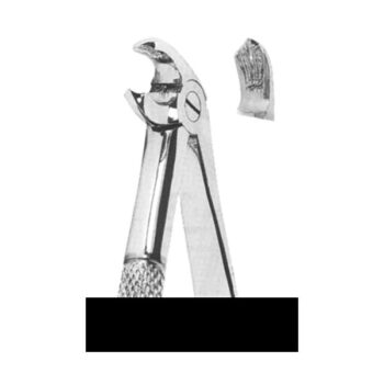 Extracting Forceps English Pattern