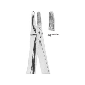 Extracting Forceps English Pattern