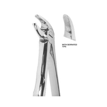 Extracting Forceps English Pattern