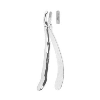 Extracting Forceps English Pattern