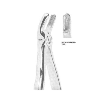 Extracting Forceps English Pattern