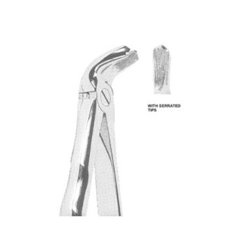 Extracting Forceps English Pattern
