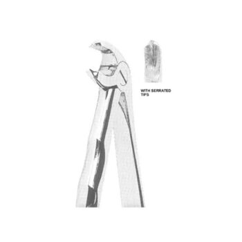 Extracting Forceps English Pattern