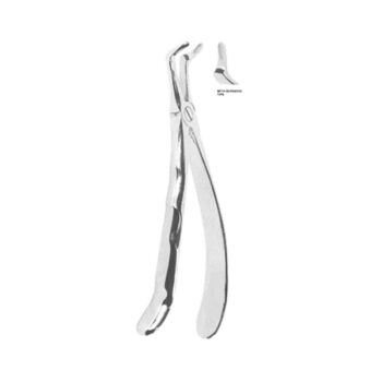 Extracting Forceps English Pattern