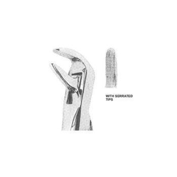 Extracting Forceps English Pattern