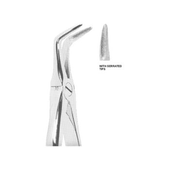 Extracting Forceps English Pattern