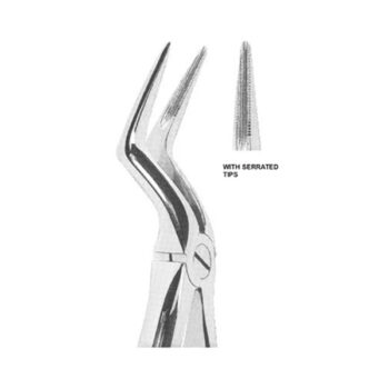 Extracting Forceps English Pattern
