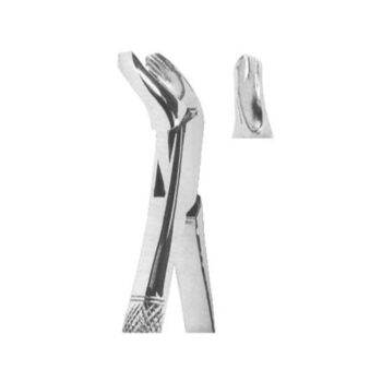 Tooth Extracting Forceps(American)