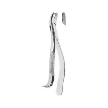 Tooth Extracting Forceps(American)