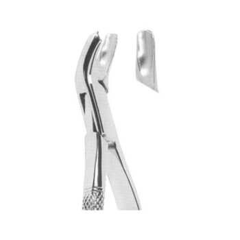 Tooth Extracting Forceps(American)