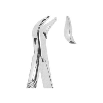 Tooth Extracting Forceps(American)