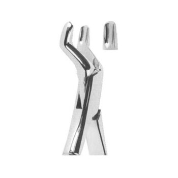 Tooth Extracting Forceps(American)