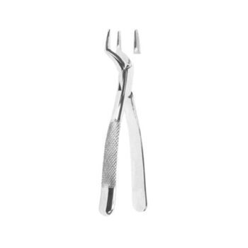 Tooth Extracting Forceps(American)