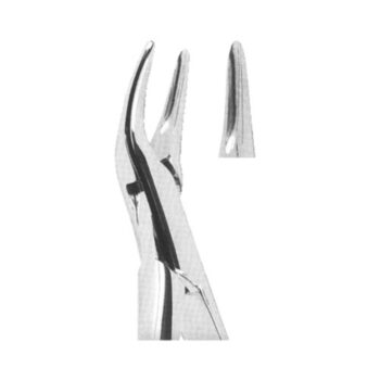 Tooth Extracting Forceps(American)