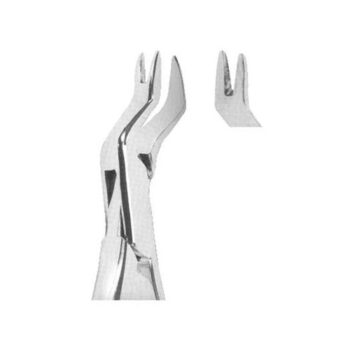 Tooth Extracting Forceps(American)