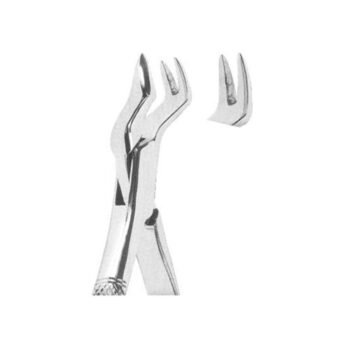 Tooth Extracting Forceps(American)