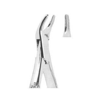 Tooth Extracting Forceps(American)
