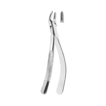 Tooth Extracting Forceps(American)