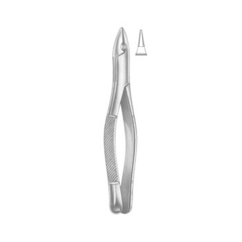 Tooth Extracting Forceps(American)