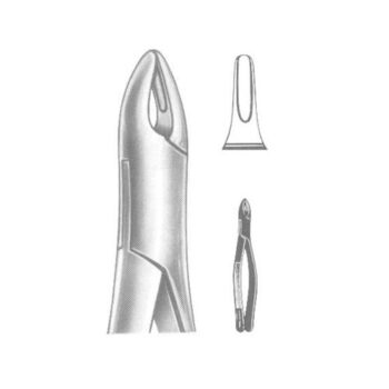 Tooth Extracting Forceps(American)
