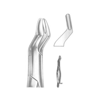 Tooth Extracting Forceps(American)
