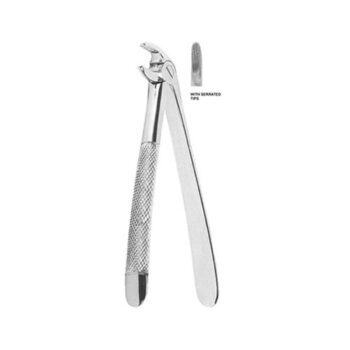 Tooth Extracting Forceps(American)
