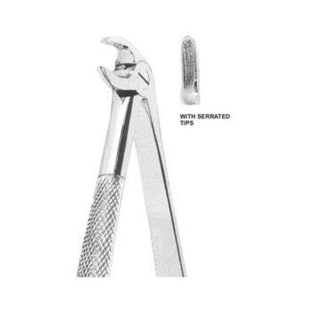 Tooth Extracting Forceps(American)