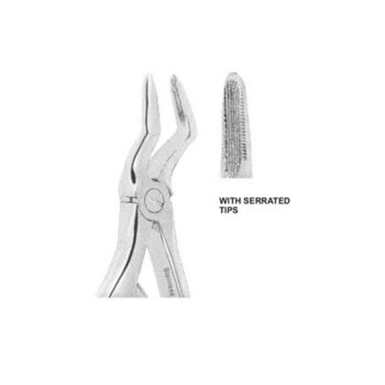 Tooth Extracting Forceps(American)